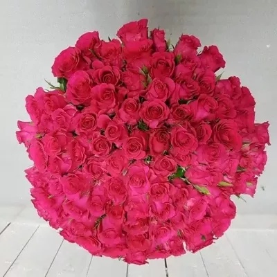 Kytica 100 ružových ruží MEMORY 50cm