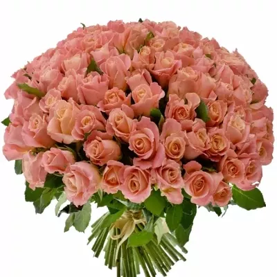 Kytice 100 růžových růží MISS PIGGY 50cm