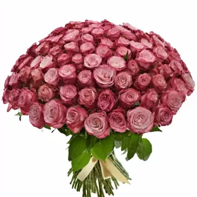 Kytice 100 růžových růží NO LIMIT 40cm