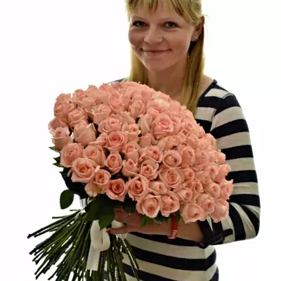 Kytice 100 růžových růží PINK PANASH 40cm
