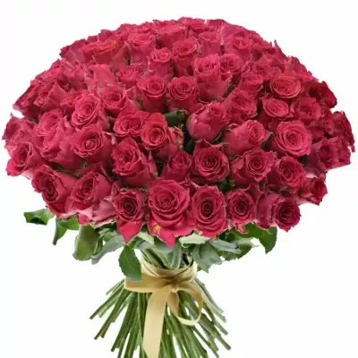 Kytice 100 růžových růží Pink Rhodos 40cm