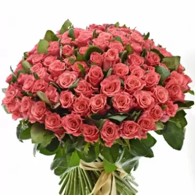 Kytice 100 růžových růží PINK TACAZZI+ 50cm
