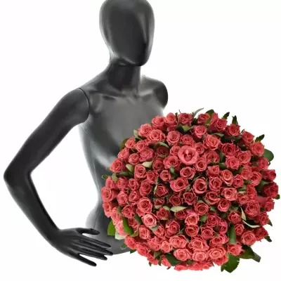 Kytice 100 růžových růží PINK TACAZZI+ 50cm