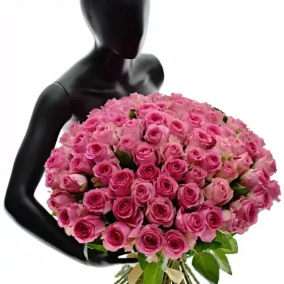 Kytice 100 růžových růží SHANGHAI LADY 40cm 