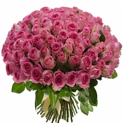 Kytice 100 růžových růží SHANGHAI LADY 40cm 