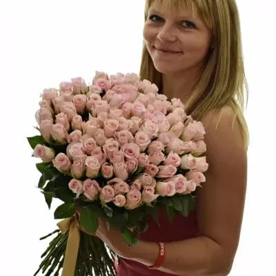 Kytice 100 růžových růží SWEET AKITO 50cm