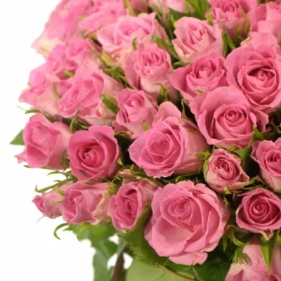 Kytice 100 růžových růží TISENTO 40cm