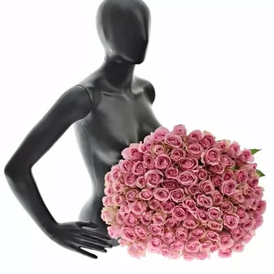 Kytice 100 růžových růží WHAM 60cm
