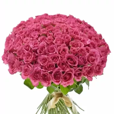 Kytice 100 růžových růží WILD CALYPSO 50cm