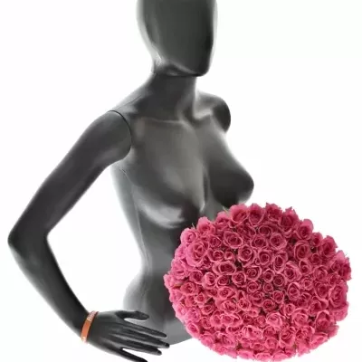 Kytice 100 růžových růží WILD CALYPSO 50cm