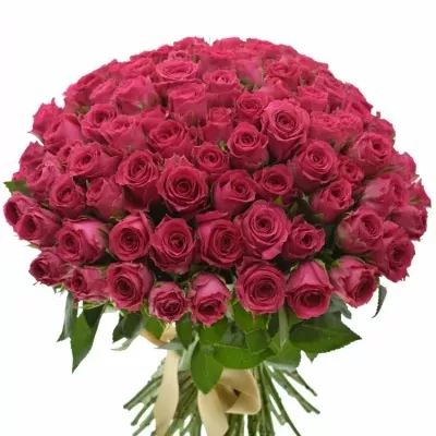 Kytice 100 růžových růží WINK 40 cm