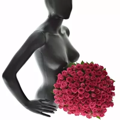 Kytice 100 růžových růží WINK 40 cm