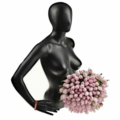 Kytice 100 růžových tulipánů 