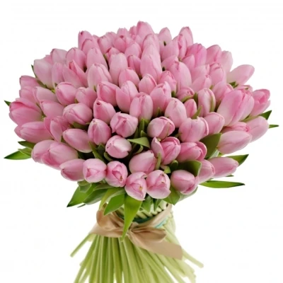 Kytice 100 růžových tulipánů DYNASTY