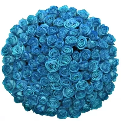 Kytice 100 světle modrých růží LIGHT BLUE VENDELA 70cm