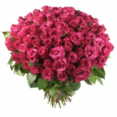 Kytice 100 třešňových růží VERY CHERRY 50cm