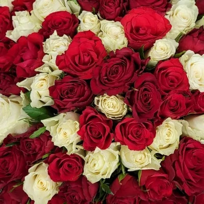 Kytice 100 vícebarevných růží GABRIELA