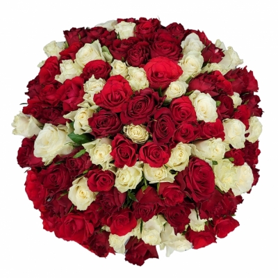 Kytice 100 vícebarevných růží IZABELA 45 cm