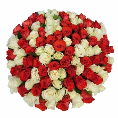 Kytice 100 vícebarevných růží JOVANA 45 cm