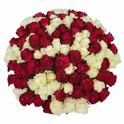 Kytice 100 vícebarevných růží KAYLA 40 cm