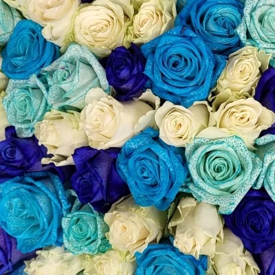 Kytice 100 vícebarevných růží MISCHA