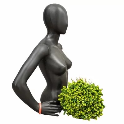 Kytice 100 zelených hypericum WANDA