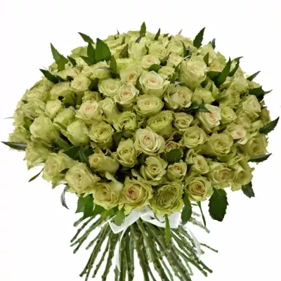 Kytice 100 zelených růží GREEN FASHION 40cm