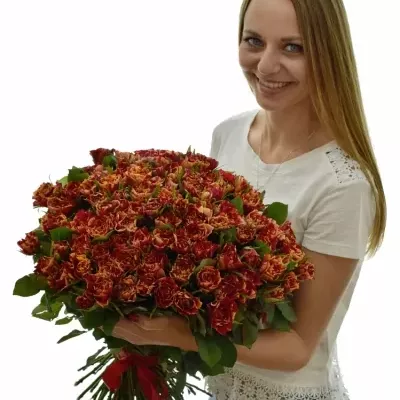 Kytice 100 žíhaných růží FIRE CRACKER 50cm