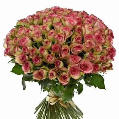 Kytice 100 žíhaných růží GLOW 40cm