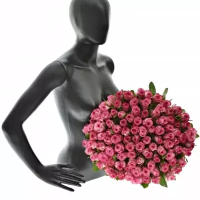 Kytice 100 žíhaných růží N-JOY 50cm