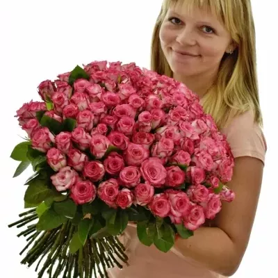 Kytice 100 žíhaných růží N-JOY 50cm