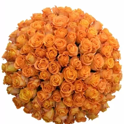 Kytice 100 žlutooranžových růží MORNING SUN 40 cm