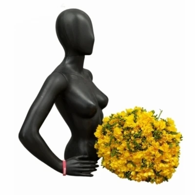 Kytice 100 žlutých frézií