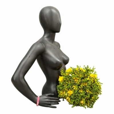 Kytice 100 žlutých frézií