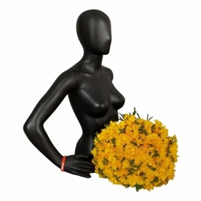 Kytice 100 žlutých frézií