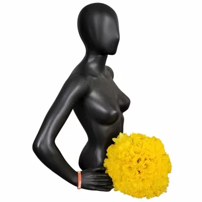 Kytice 100 žlutých narcisů STANDARD VALUE