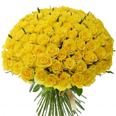 Kytice 100 žlutých růží MINION ROSE