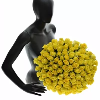 Kytice 100 žlutých růží Penny Lane 60cm