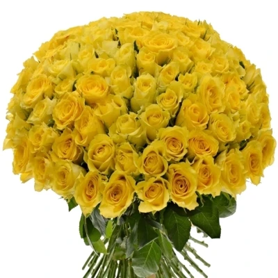 Kytice 100 žlutých růží SONRISA