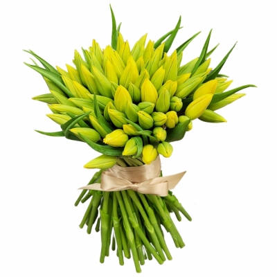 Kytica 100 žltých tulipánov 30cm