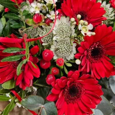 Kytice 11 ks gerber RED ADRIANA 