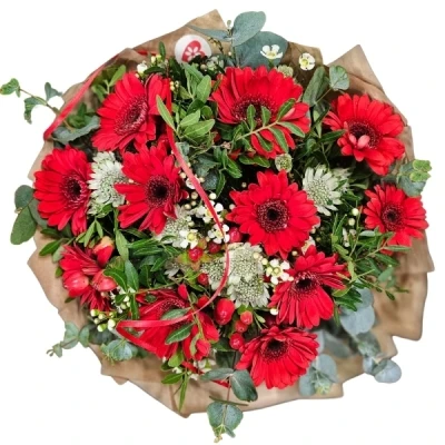 Kytice 11 ks gerber RED ADRIANA 