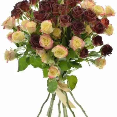 Kytica 11 trsových ruží Callista Ø25cm