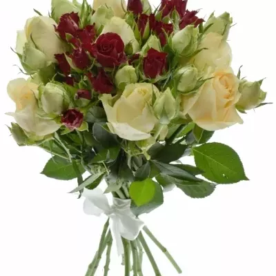 Kytice 11 trsových růží ISIDORA Ø20cm