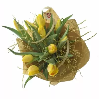 Míchaná kytice 13 ks APOLLONA ø15cm