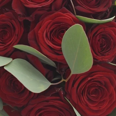 Kytice 13 míchaná VALERIE 50cm