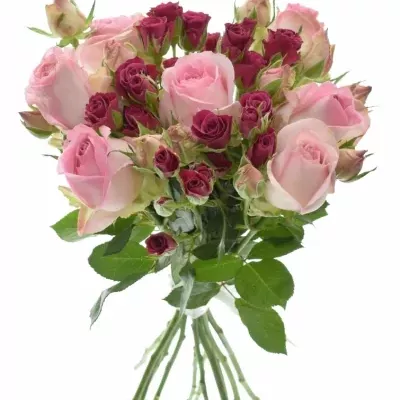 Kytice 13 trsových růží ATALANTA Ø20cm