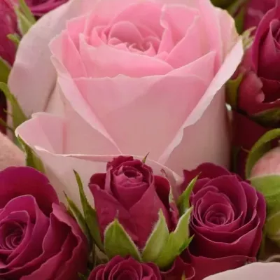 Kytice 13 trsových růží ATALANTA Ø20cm