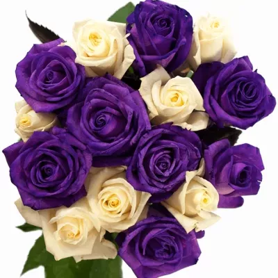 Jednodruhová kytice 15 vícebarevných růží AUGUSTINA 50 cm