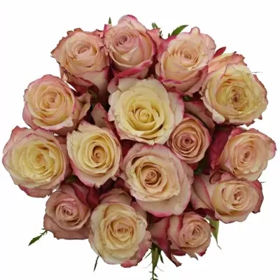 Kytice 15 bílorůžových růží ADVANCE SWEETNESS 70cm